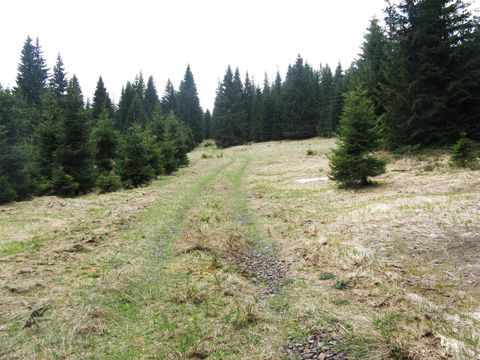 Foto 44